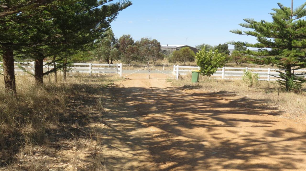 Turquoise Coast Lodge Jurien Bay Εξωτερικό φωτογραφία